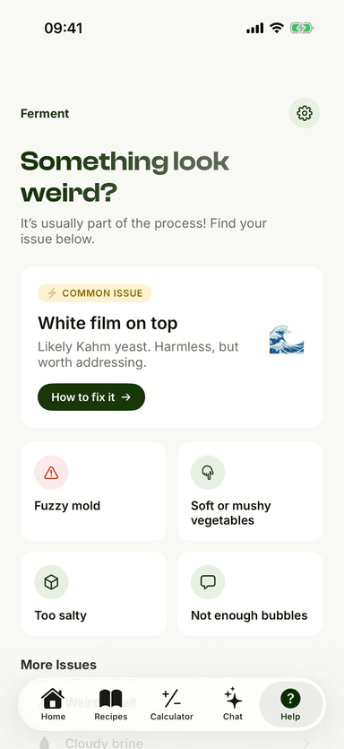 Ferment troubleshooter showing common fermentation issues