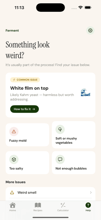 Ferment troubleshooter showing common fermentation issues